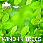 Wind In Trees 60 Minutes