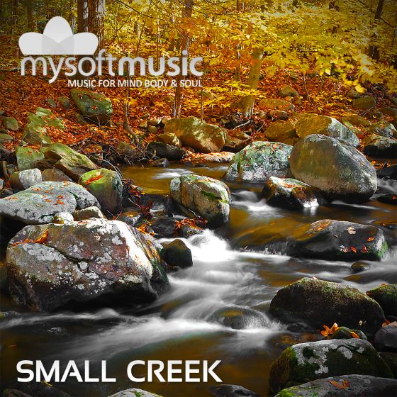 Small Creek 40 Minutes