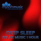 Deep Sleep Relax Music 1 Hour