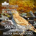 Small Creek And Birds 3D-RELAX